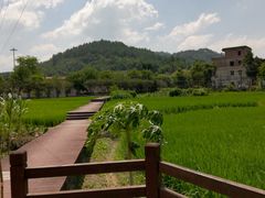 -红山村