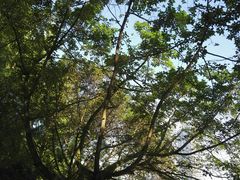 -成都市活水公园