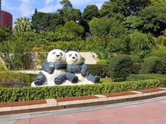 -石排湾郊野公园