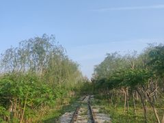 -西青郊野公园