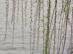 -福济寺