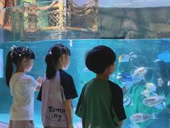 -沈阳海洋探索中心