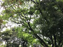 -晓港公园