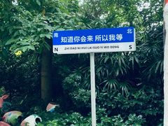 -东部华侨城