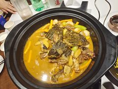 5年甲鱼/斤-王捌小院(红花坡店)