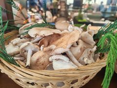 -滇铺子·云南特色菜·第九届野生菌美食节(曲靖万达店)