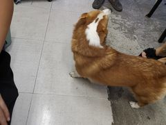 -小梁哥云吞面(黄贝岭店)
