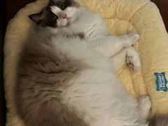 -FAELING PETS美天灵宠物(富力广场店)
