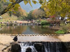 -广州市石门国家森林公园