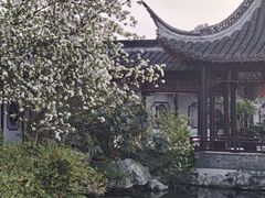 -梅园