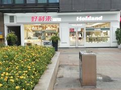 -蒲公英(五里店)