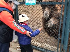 -大连森林动物园