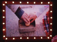 -小杨生煎(湟普汇店)
