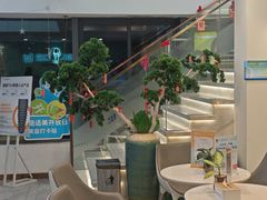 -维乐口腔医院(星海湾分院)