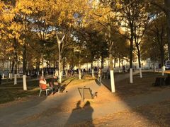 -布鲁塞尔大广场