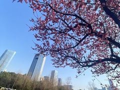 -天鹅湖体育公园