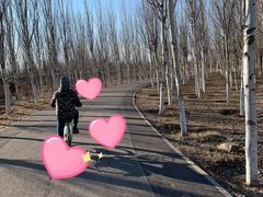 -东郊湿地公园