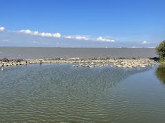 -上海吴淞炮台湾国家湿地公园