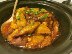 -三号黄浦会Canton Table