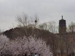 -永定河休闲森林公园