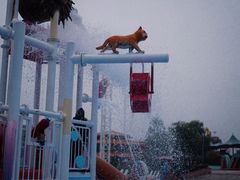 -汤山欢乐雪世界