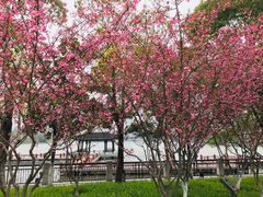 -南通濠河风景名胜区