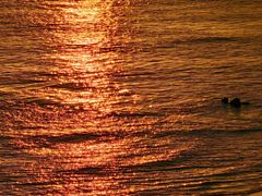 -日照灯塔风景区