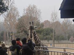 -合肥野生动物园