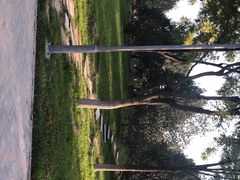 -大兴滨河森林公园