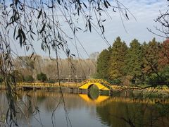 -渌洋湖湿地公园