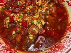 -欧记大排档·景德菜(上海首店)