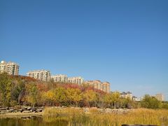 -小绿谷公园