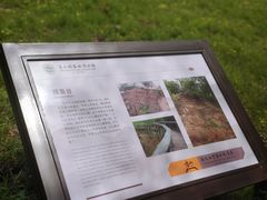 -南京市江宁方山