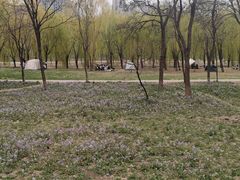 -东坝千亩湖公园
