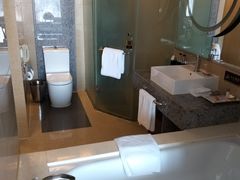 -南桥绿地铂骊酒店
