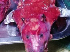 -阿鸟农庄(石壁店)