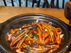 红烧软兜-扬州狮子楼·非遗淮扬菜(东关街店)