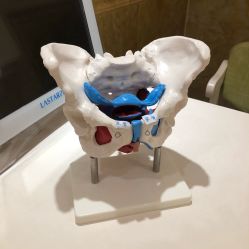 -伊然美产后恢复中心(海珠妇幼店)