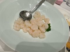 -圆苑(静安寺店)