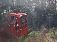 -缙云山景区