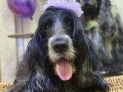 -一坐一忘云南菜(北京skp店)