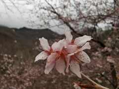 -安徽天堂寨风景区