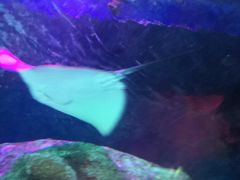 -沈阳海洋探索中心