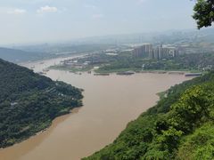 -铁山坪森林公园