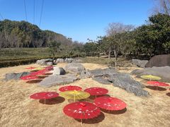 -韩湘水博园