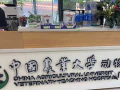 -中国农业大学动物医院