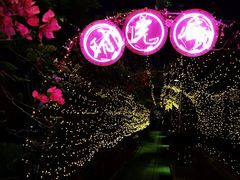 -拾叁唐Livehouse(佛山禅城店)