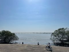 -宝安西湾红树林湿地公园