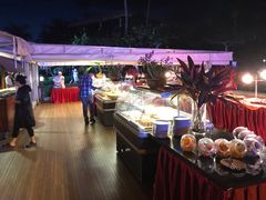 -渔家火锅·海鲜自助餐·演艺(亚龙湾天域酒店)