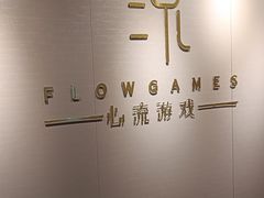 -心流游戏Flow Games